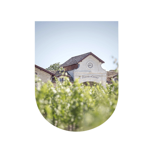 Wine-lover's gift idea: a visit to a wine estate